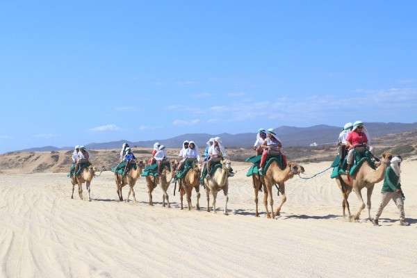 El Tour Safari en Camello y Paseo por el Desierto es una divertida experiencia que puede disfrutarse en Los Cabos, San Lucas. Foto: Twitter