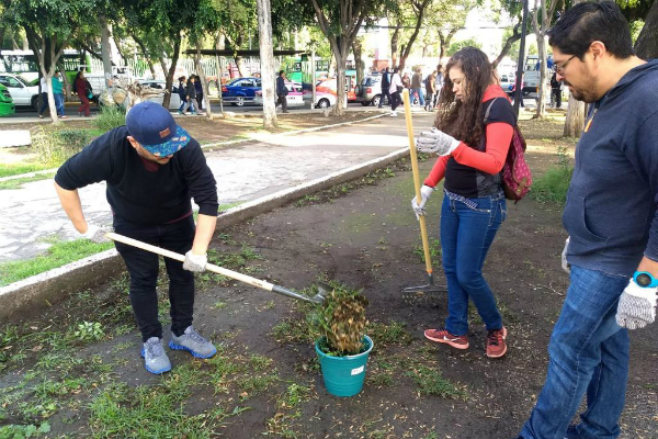 En las alcaldías Coyoacán, Gustavo A. Madero y Cuauhtémoc. Foto: Especial.