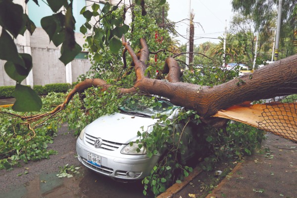 CONTINGENCIA. Los Atlas de Riesgo incluyen
lluvias, huracanes, sismos e inundaciones. Foto: Enfoque