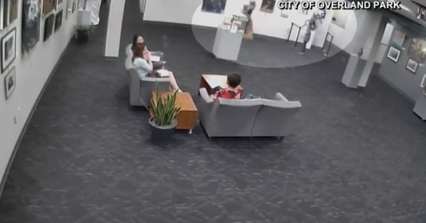 La Familia Goodman de Kansas tendrá que pagar una gran cantidad de dinero, luego de que su hijo de 5 años hiciera una travesura dentro del Centro Comunitario de la Ciudad. Foto: Especial