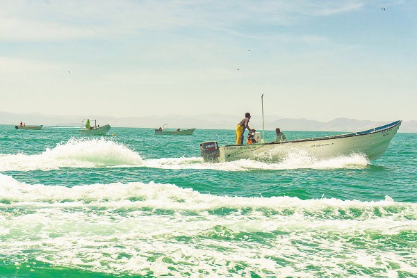 ACTIVIDAD. Los habitantes afirman
que ellos “ni conocen a las vaquitas”. Foto: Especial