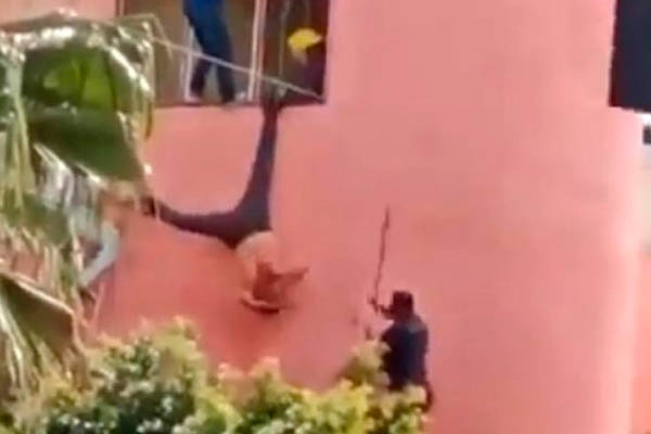 Ladrón_Tonalá_Jalisco_piñata_vecinos_robo