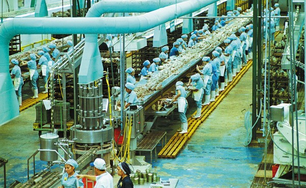 Productores dicen que el retraso de permisos son por menos personal en Cofepris y Economía. Foto: Cuartoscuro