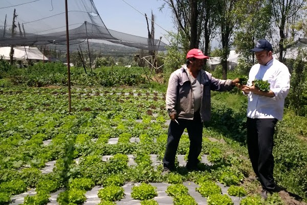 Alimentación_sostenible_opción_lucha_contra_cambio_climático