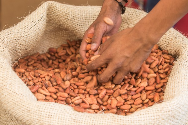 “Salva nuestra sazón”, la iniciativa que fomenta el rescate y uso de ingredientes la cocina tradicional