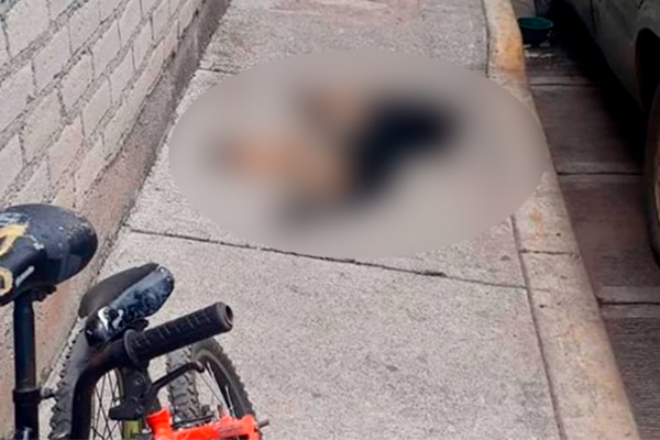 Denuncian_asesinatos_-golpes_perros_Michoacán