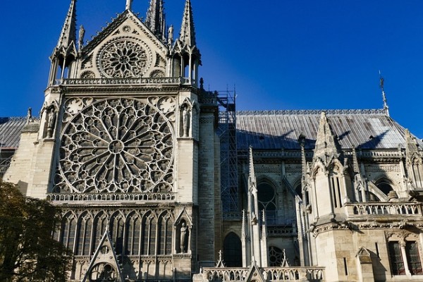 Se reanudan trabajos de conservación en la Catedral de Notre Dame