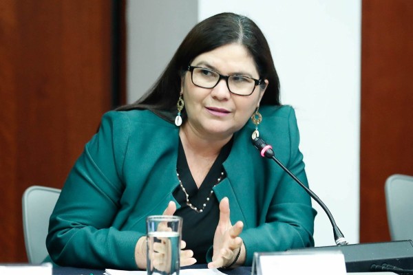 Imelda Castro buscará fortalecer la Cuarta Transformación