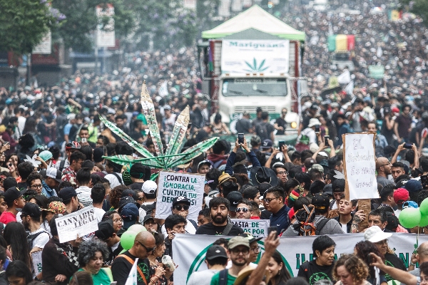 Mariguana Julio Menchaca