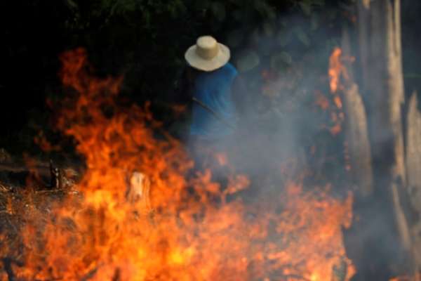 amazonas incendios fotos