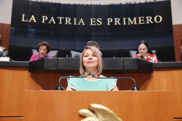 Minerva Hernández comprobantes fiscales irregulares