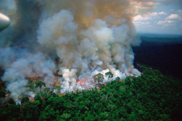 incendio_amazonas_notre_dame_