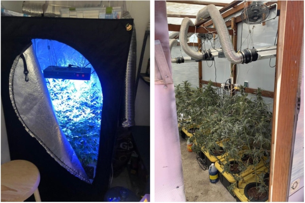 Narcomenudeo_naucalpan_droga_marihuana