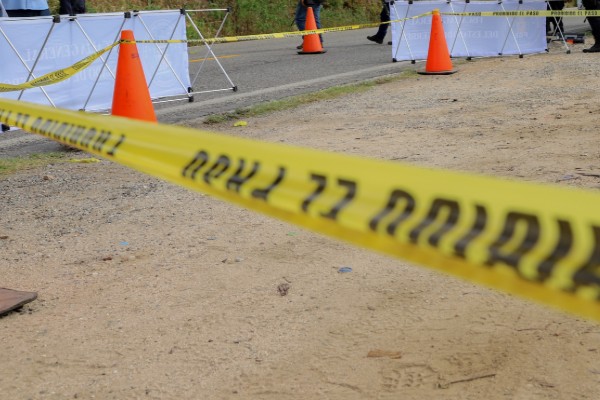 morena_diputados_asesinato