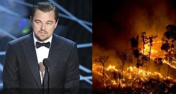 leonardo_dicaprio_amazonas