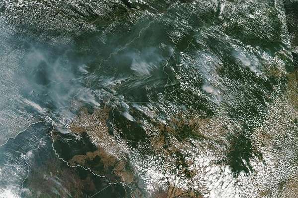 Amazonas incendios