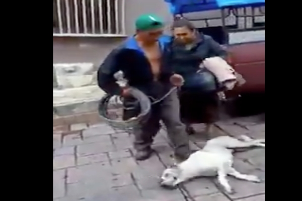 Hombre en Chiapas agrede a un perro mientras una mujer lo enfrenta Foto: Especial