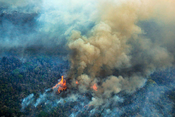 Reportan_incendios_Amazonía_suman_más_79mil_brotes