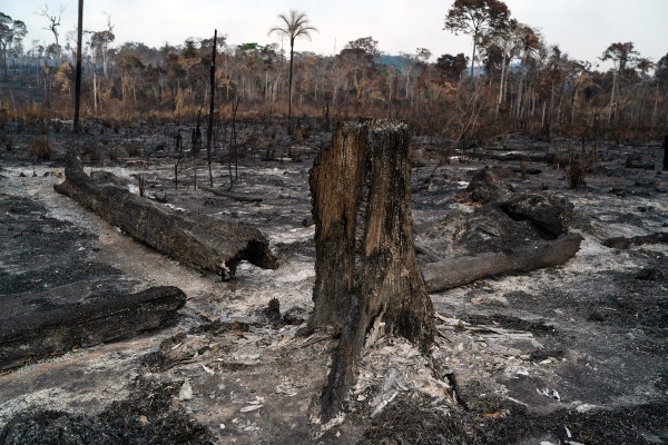 DAÑOS. El estado de Pará, uno de los más afectados
por los incendios. Foto: AP