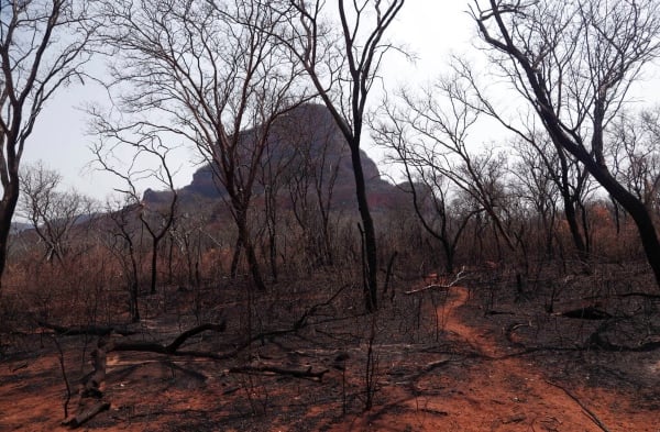 bolivia_incendios_forestales