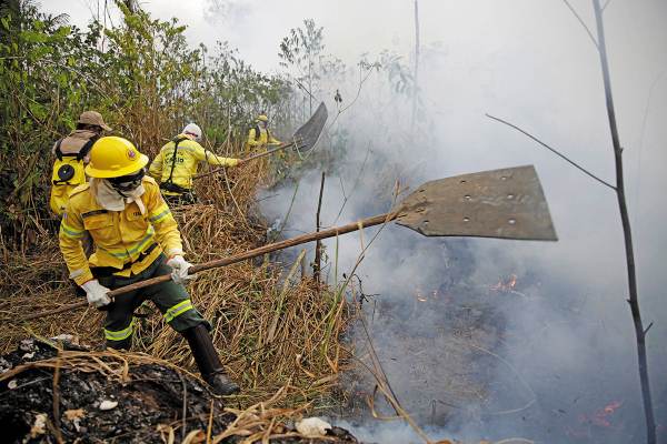 DESASTRE. Bomberos combatieron las llamas
en el Bosque Nacional Jacunda, Brasil. Foto: AP