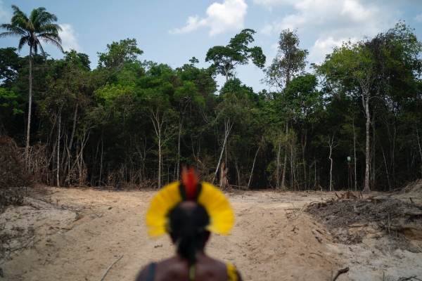 brasil_amazonia_tala_arboles