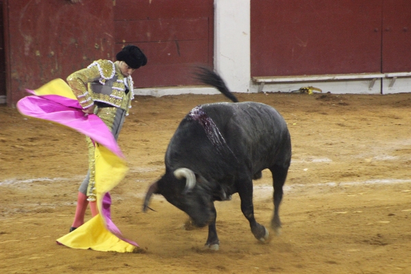 corrida de toros