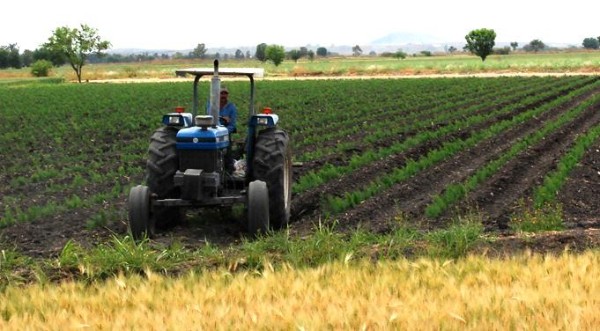 Recorte_20mmdp_campo