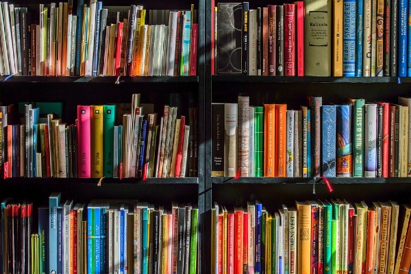 Los libros serán desde nivel preescolar hasta secundaria; se repartirán con el apoyo de la Secretaría de Cultura. Foto: Pixabay