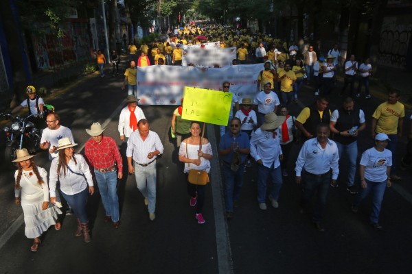 Marchas_cdmx_ley_PAN