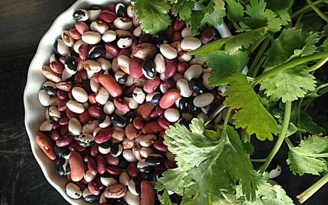 El frijol es una leguminosa indispensable para la cocina mexicana. Foto: Especial