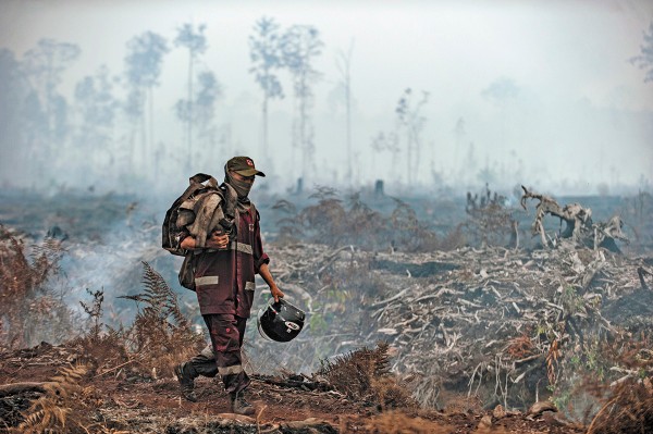 AMAZONIA. En esta temporada; los incendios
en ese pulmón del mundo se expandieron. Foto: AP