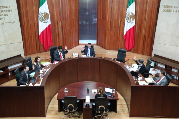 TEPJF_candidatura_morena_mario_delgado_yeidckol_polevnsky