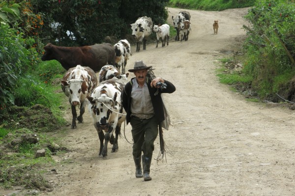 El secretario de Agricultura prometió el uso de la Guardia Nacional para frenar el problema. Foto: Especial