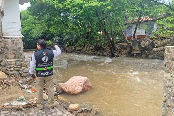 LUPA. La autoridad mantiene monitoreo permanente; ayer cayeron varios árboles en Colima. Foto: Especial