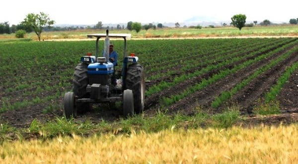 El incremento en el costo afectaría a los agricultores mexicanos. Foto: Especial