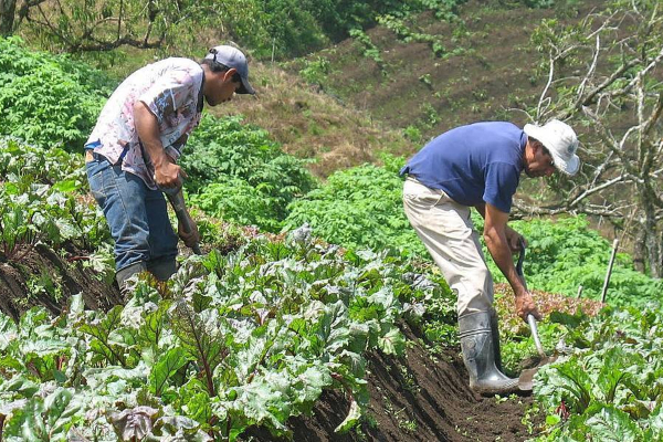 Ley de Ingresos autorizó un cobro de uso del agua para los productores agrícolas Diputado PAN
