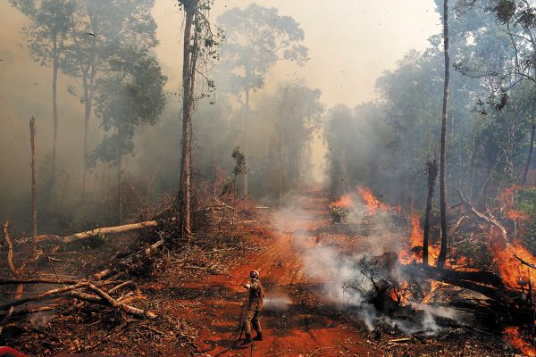 TRAGEDIA. La deforestación por agricultura y ganadería ha favorecido incendios en la Amazonia, que alberga 10% de la biodiversidad. Foto: REUTERS