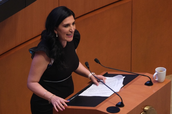 Esperamos Rosario Piedra Ibarra sea quien pida se repita la elección para CNDH: Kenia López Rabadán