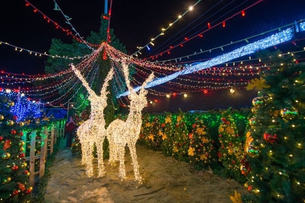 Villa Iluminada, el evento navideño más esperado de Atlixco - El Heraldo de México