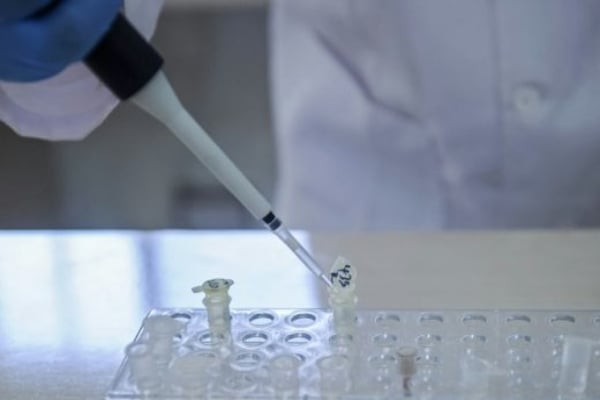 ciencia_virus_elimina_cancer_ratones