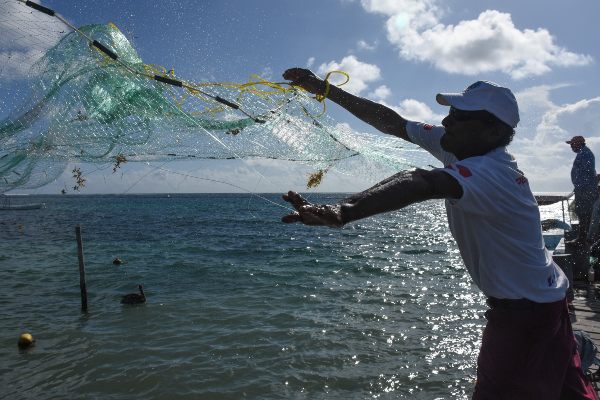 ACTIVIDADES. En México se pescan cerca de 1.8 millones de toneladas de especies del mar. Foto: CUARTOSCURO