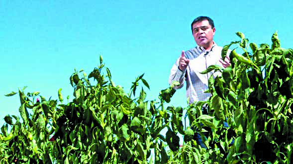 PROYECTO. José Luis García trabaja para
fortalecer el cultivo de varias especies del país. Foto: Ignacio Mendívil
