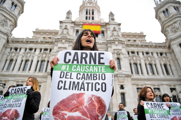 MOVILIZACIONES. ● Grupos ambientalistas iniciaron ayer protestas para concientizar sobre el clima. Foto: AFP