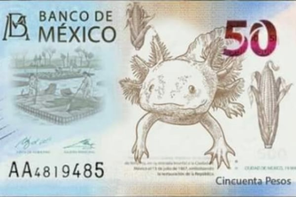 billeto 50 pesos ajolote