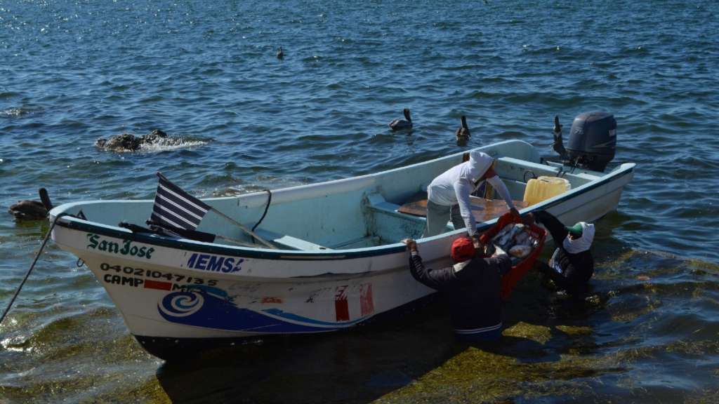 pesca-ilegal-tecnologia-pescadores-empresas-empresarios-plataforma