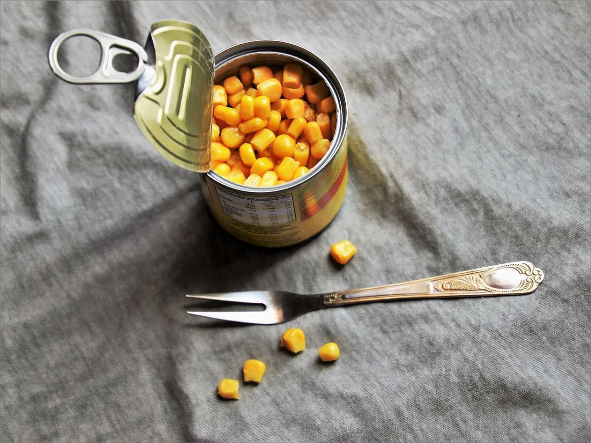 Conservar comida enlatada. Foto: Pixabay