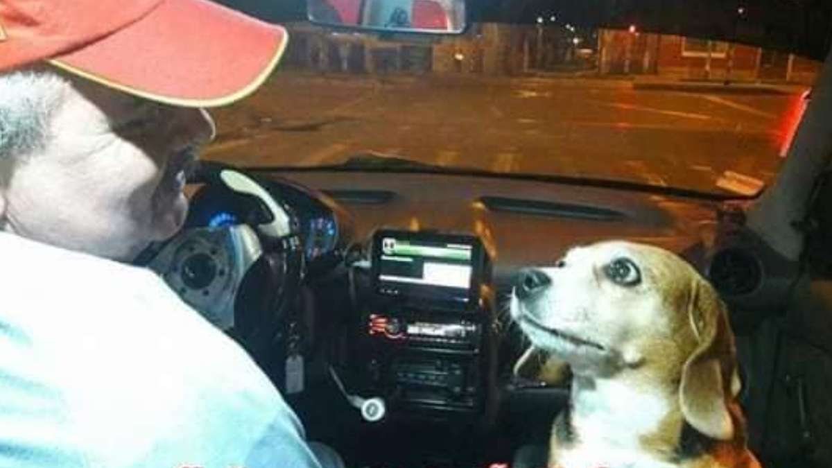 taxista princesa historia
