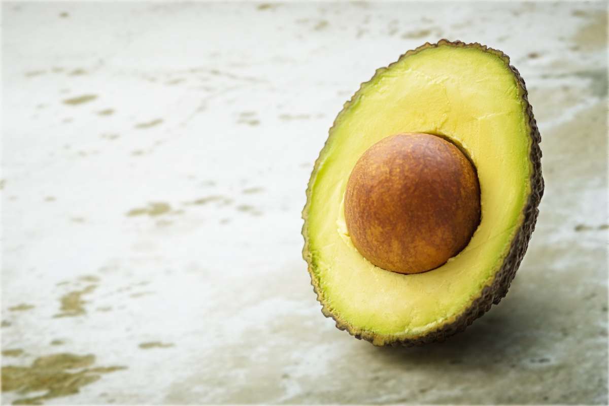 La imagen tiene un atributo ALT vacío; su nombre de archivo es avocado-blur-close-up-focus-142890-1200x800.jpg
