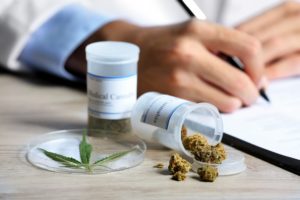 Usos y aplicaciones de la cannabis medicinal